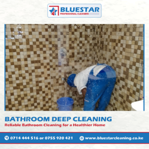 Bluestar Professional Cleaners Bathroom Cleaning Service