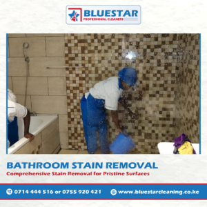 Bluestar Professional Cleaners Bathroom Stain removal