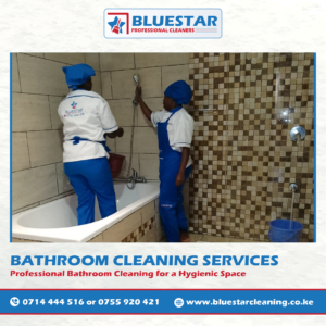 Bluestar Professional Cleaners Bathroom cleaning 2