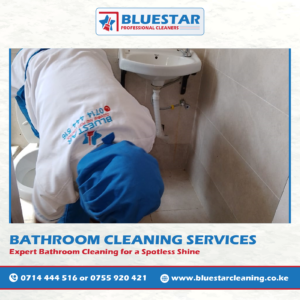 Bluestar Professional Cleaners Bathroom cleaning