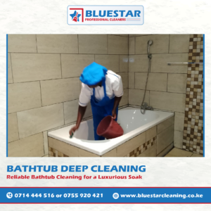 Bluestar Professional Cleaners Bathtub deep Cleaning Service 1