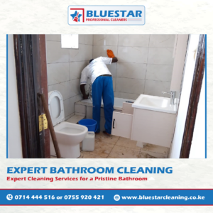 Bathroom cleaning Nairobi