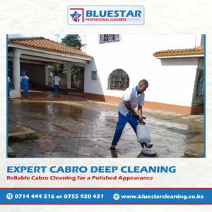 Bluestar Professional Cleaners Expert Cabro Deep Cleaning Service 1