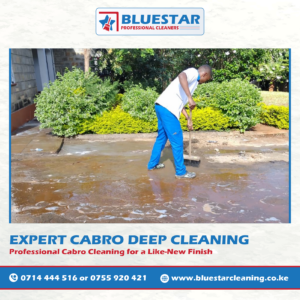 Bluestar Professional Cleaners Expert Cabro Deep Cleaning Service 2