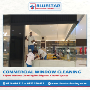 Bluestar Professional Cleaners Expert Commercial Window Cleaning Service