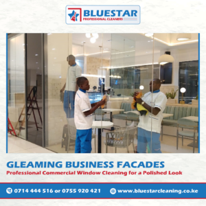 Bluestar Professional Cleaners Expert Commercial Window Cleaning Service 1