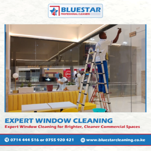 Bluestar Professional Cleaners Expert Commercial Window Cleaning Service 10