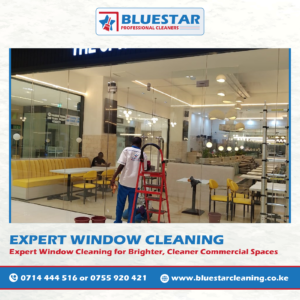 Bluestar Professional Cleaners Expert Commercial Window Cleaning Service 11