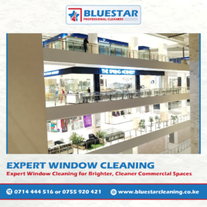 Bluestar Professional Cleaners Expert Commercial Window Cleaning Service 12