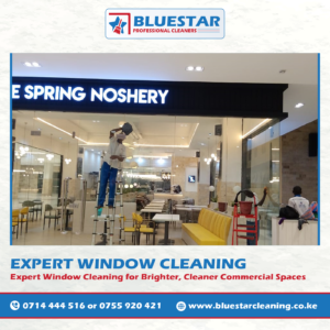 Bluestar Professional Cleaners Expert Commercial Window Cleaning Service 13