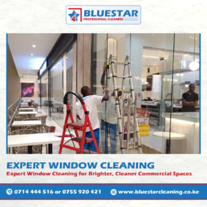 Bluestar Professional Cleaners Expert Commercial Window Cleaning Service 14