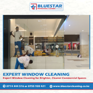 Bluestar Professional Cleaners Expert Commercial Window Cleaning Service 15