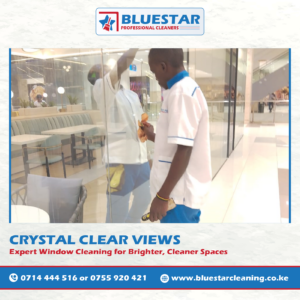 Bluestar Professional Cleaners Expert Commercial Window Cleaning Service 2