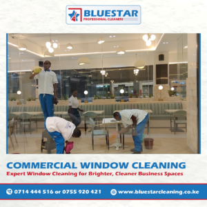 Bluestar Professional Cleaners Expert Commercial Window Cleaning Service 3