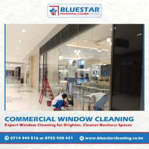 Bluestar Professional Cleaners Expert Commercial Window Cleaning Service 4