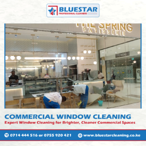 Bluestar Professional Cleaners Expert Commercial Window Cleaning Service 5