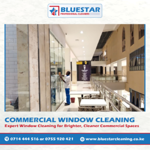 Bluestar Professional Cleaners Expert Commercial Window Cleaning Service 6