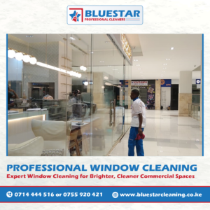 Bluestar Professional Cleaners Expert Commercial Window Cleaning Service 7