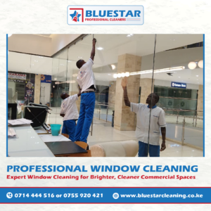 Bluestar Professional Cleaners Expert Commercial Window Cleaning Service 8