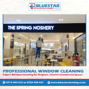 Bluestar Professional Cleaners Expert Commercial Window Cleaning Service 9