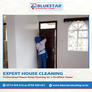 Bluestar Professional Cleaners Expert House Cleaning Service 3