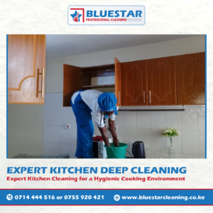 Bluestar Professional Cleaners Expert Kitchen Deep Cleaning Service 1