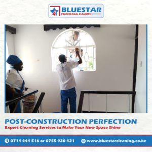 Bluestar Professional Cleaners Expert Post-construction Cleaning Service 3