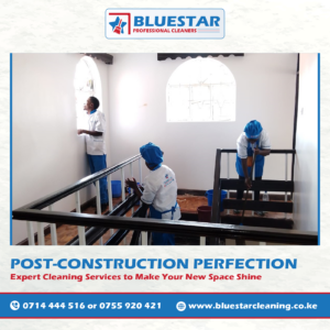 Bluestar Professional Cleaners Expert Post-construction Cleaning Service 4