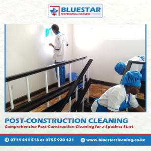 Bluestar Professional Cleaners Expert Post-construction Cleaning Service 5