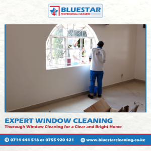 Bluestar Professional Cleaners Expert Window Cleaning Service