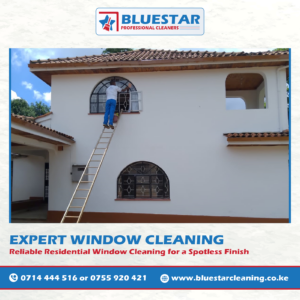 Bluestar Professional Cleaners Expert Window Cleaning Service 3