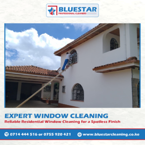 Bluestar Professional Cleaners Expert Window Cleaning Service 5