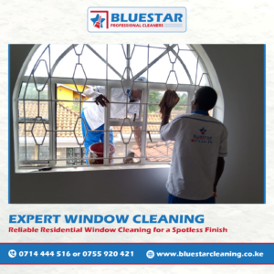 Bluestar Professional Cleaners Expert Window Cleaning Service 6