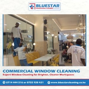 Bluestar Professional Cleaners Expert cOMMERCIAL wINDOWCleaning Service