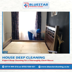 Bluestar Professional Cleaners House Deep Cleaning Service 1