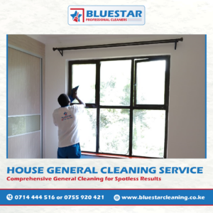 Bluestar Professional Cleaners House General Cleaning Service 2