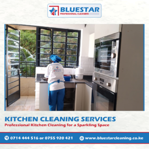 Bluestar Professional Cleaners Kitchen cleaning