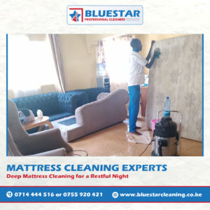 Bluestar Professional Cleaners Mattress cleaning 1