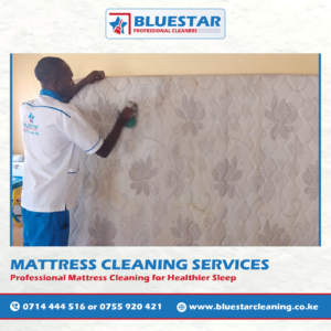 Bluestar Professional Cleaners Mattress cleaning