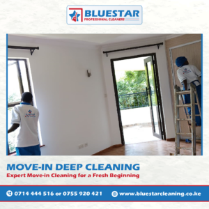 Bluestar Professional Cleaners Move-in deep Cleaning Service 1