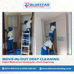 Bluestar Professional Cleaners Move-in deep Cleaning Service 2