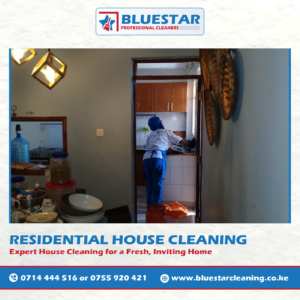 Bluestar Professional Cleaners Reliable House Cleaning Service 1