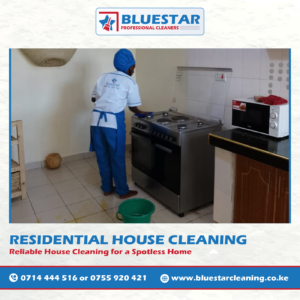 Bluestar Professional Cleaners Reliable House Cleaning Service