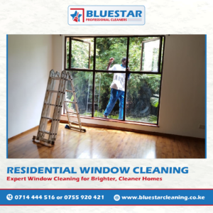 Bluestar Professional Cleaners Residential Window Cleaning Service 1