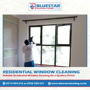 Bluestar Professional Cleaners Residential Window Cleaning Service 2