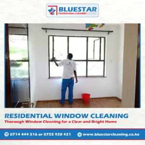 Bluestar Professional Cleaners Residential Window Cleaning Service 3