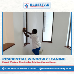 Bluestar Professional Cleaners Residential Window Cleaning Service 4