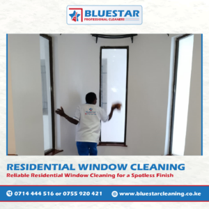 Bluestar Professional Cleaners Residential Window Cleaning Service 5