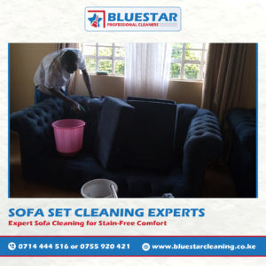 Bluestar Professional Cleaners Sofa set cleaning 1