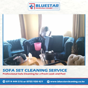 Bluestar Professional Cleaners Sofa set cleaning